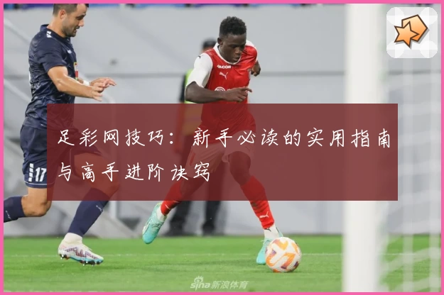 足彩网技巧：新手必读的实用指南与高手进阶诀窍