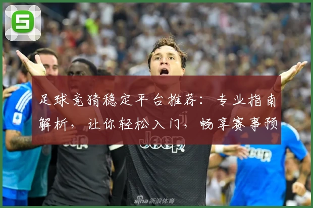 足球竞猜稳定平台推荐：专业指南解析，让你轻松入门，畅享赛事预测体验