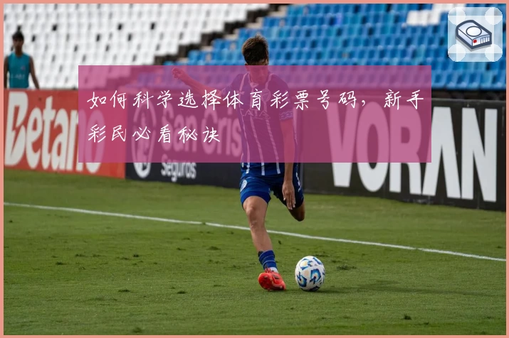 如何科学选择体育彩票号码，新手彩民必看秘诀