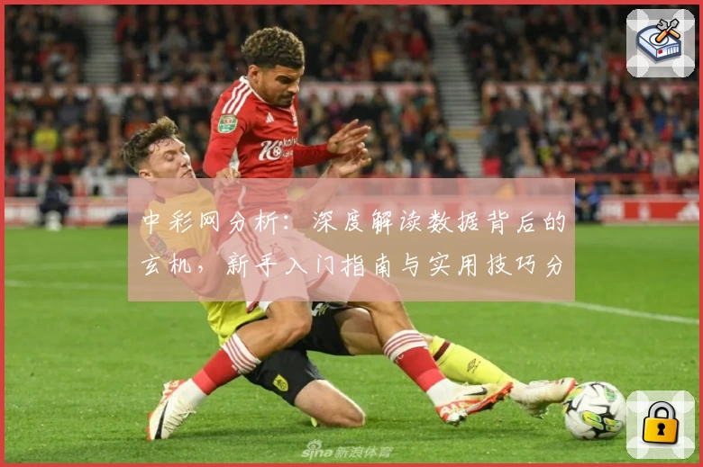 中彩网分析：深度解读数据背后的玄机，新手入门指南与实用技巧分享