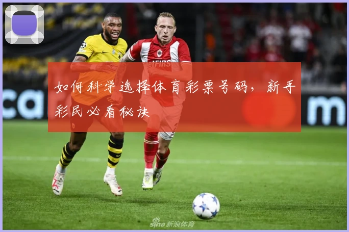 如何科学选择体育彩票号码，新手彩民必看秘诀