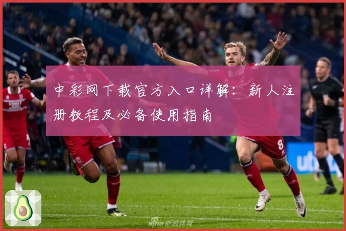 中彩网下载官方入口详解：新人注册教程及必备使用指南