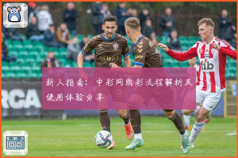 新人指南:中彩网购彩流程解析及使用体验分享