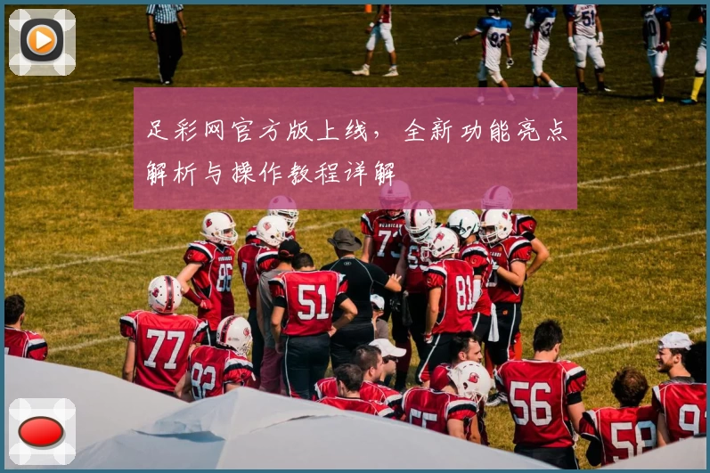足彩网官方版上线，全新功能亮点解析与操作教程详解