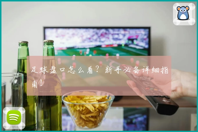 足球盘口怎么看？新手必备详细指南！