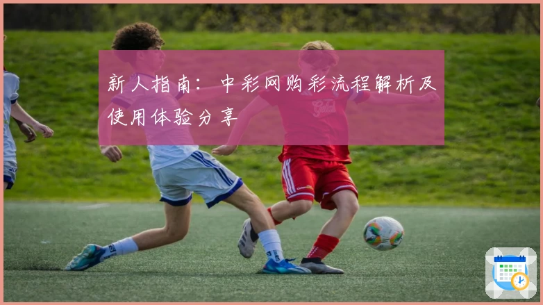 新人指南：中彩网购彩流程解析及使用体验分享